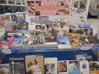 DSCN0917.JPG
